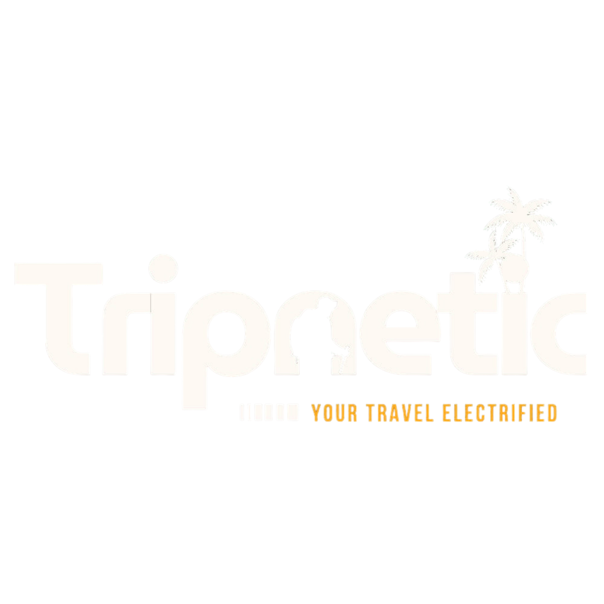 Tripnetic
